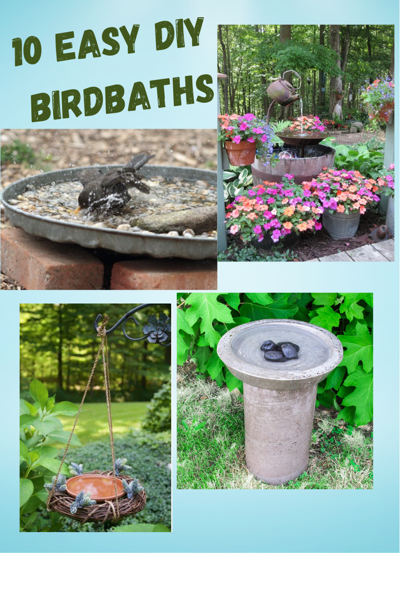 10 Easy and Fun DIY Birdbaths - The Twisted Tendril